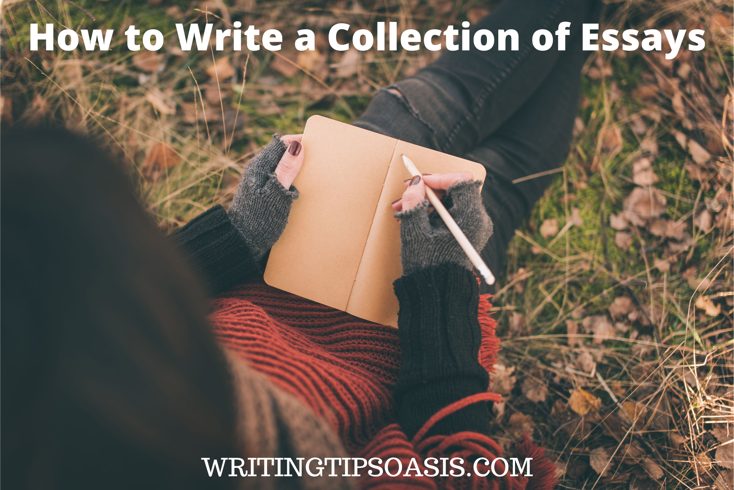 How to Write a Collection of Essays