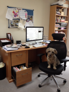 My Writing Room by Haley Hill