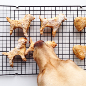 Feasting on Romantic Comedy – Doggy Treats from Raincoats & Retrievers by Cressida McLaughlin