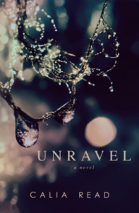 Novelicious Picks…5 Books To Read After The Girl on the Train