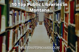 public libraries in Montana