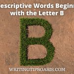 descriptive words beginning with the letter B