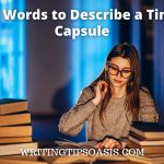 words to describe a time capsule