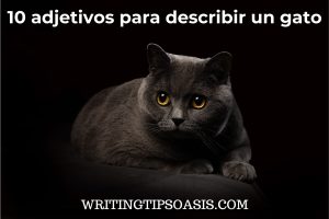 adjetivos para describir un gato