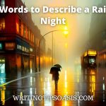 words to describe a rainy night