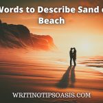words to describe sand on a beach