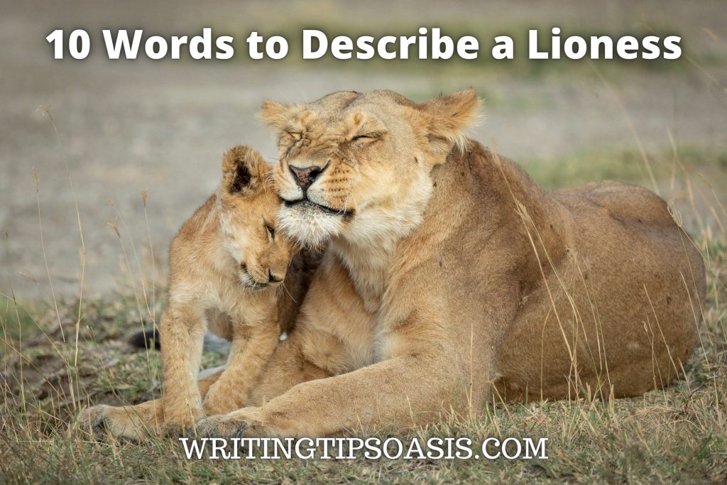 Trepidation Example 10 Words to Describe a Lioness - Writing Tips Oasis - A website ...