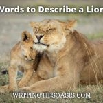 words to describe a lioness