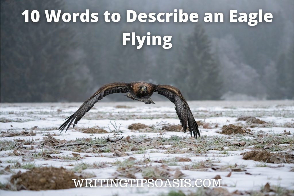 10 Words to Describe an Eagle Flying Writing Tips Oasis A website