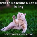 words to describe a cat ending in -ing