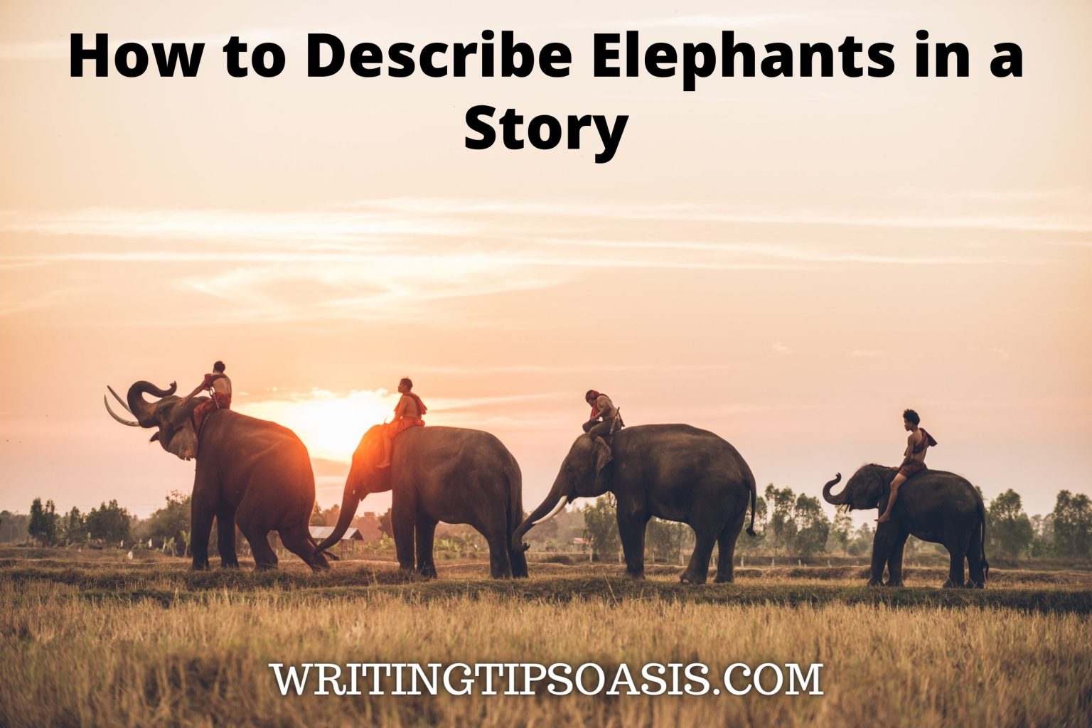 How to Describe Elephants in a Story Writing Tips Oasis A website