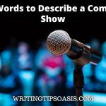 words to describe a comedy show