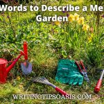 words to describe a messy garden