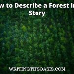 how to describe a forest in a story