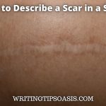 how to describe a scar in a story